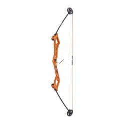 Bear Archery Valiant Bow Set